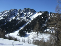 Durch diese Schneise ging die Tour vor Jahren, speziell zurück immer sehr schweißtreibend, jetzt ist das ein Tierschutzgebiet!