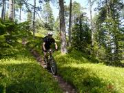 Auf der Suche nach den schönsten Singletrails