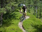 Auf der Suche nach den schönsten Singletrails