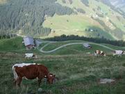 Blick auf die Stigeralm