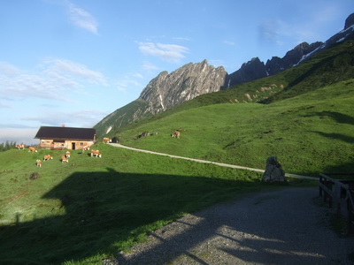Im Bereich der Mittereggalm