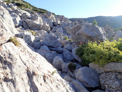 Impressionen von der Strecke des Pramollo Sky Ultra