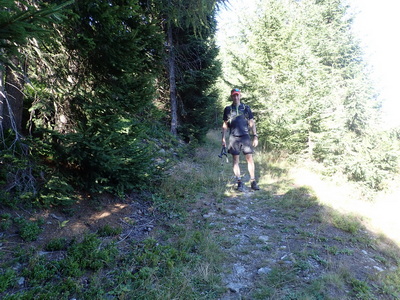 Karawankenkönig - Quer durch die Karawanken vom Bodental zum Mittagskogel