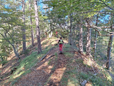 Trailrunning Gamskogel und Schartnerkogel