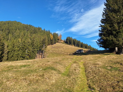 Trailrunning Gamser Almrunde