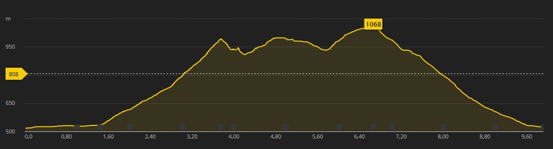 Trailrunning Gamskogel und Schartnerkogel